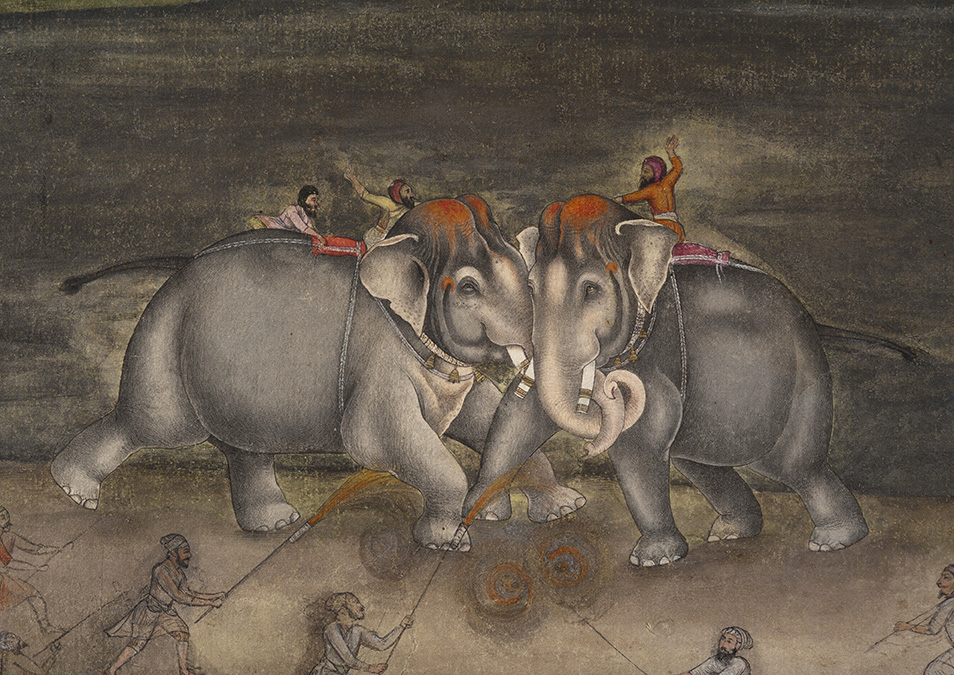 "Battle of elephants." Courtesy of Antoine Mercier – Galerie Alexis Renard. 