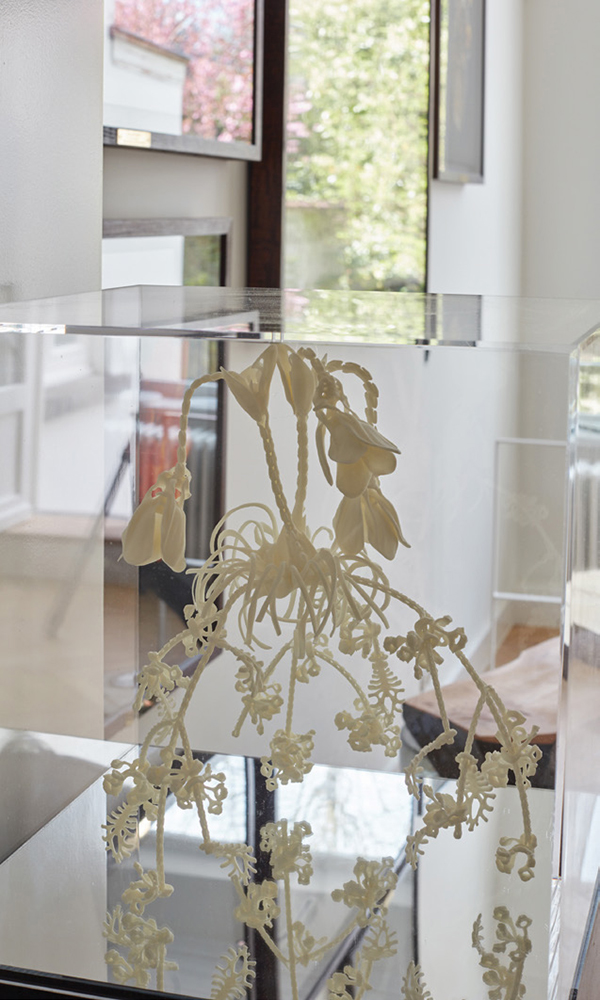 Vincent Fournier’s Ancolia (Aquilegia edulis) from his Fresh Flowers series was displayed in Piano Nobile’s first exhibition of the artist’s work in its new space in Ixelles. | JÖRG BRÄUER PHOTOS