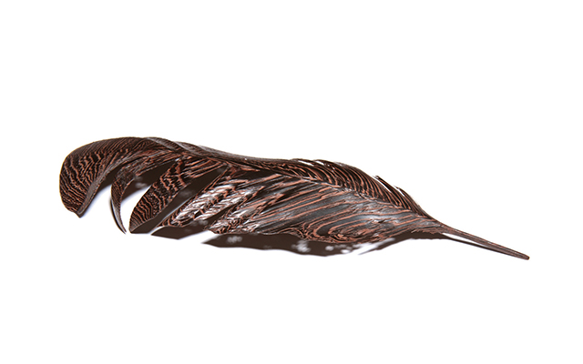 Feather 11,886, 2016, in hand-carved and burnished wenge. Courtesy Miriam Carpente
